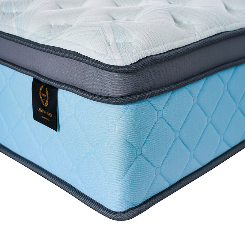 Blue Cloud Luxury Euro Top Memory Foam Pocket Spring Mattress | 24M16 